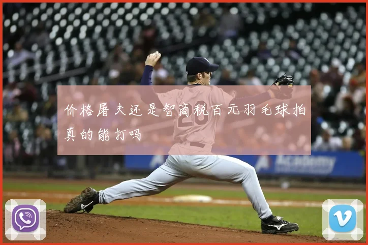 价格屠夫还是智商税百元羽毛球拍真的能打吗