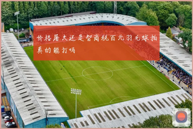 价格屠夫还是智商税百元羽毛球拍真的能打吗