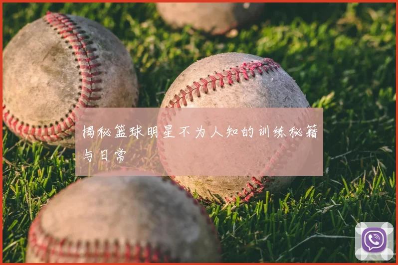 揭秘篮球明星不为人知的训练秘籍与日常