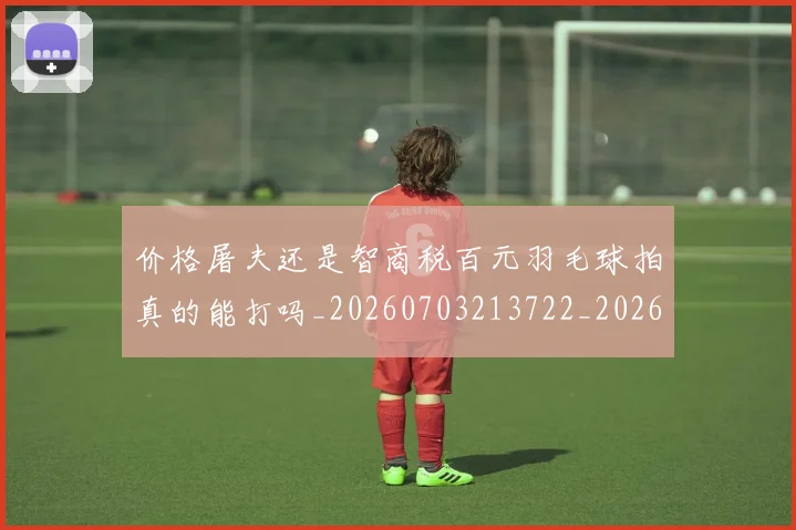 价格屠夫还是智商税百元羽毛球拍真的能打吗_20260703213722_20260718003042