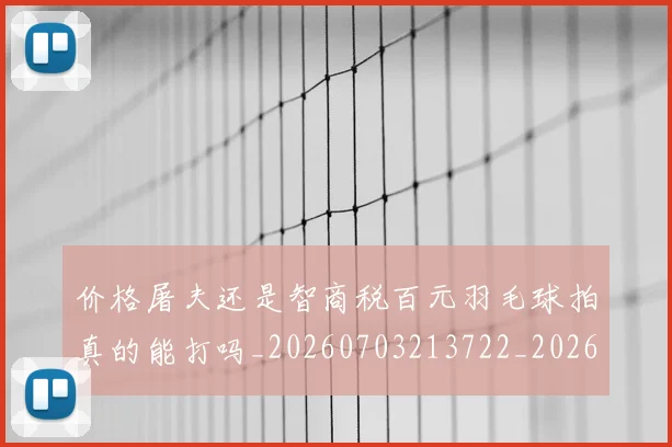 价格屠夫还是智商税百元羽毛球拍真的能打吗_20260703213722_20260718003042